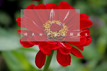 酒类的押金逾期规定 酒类的押金逾期规定
