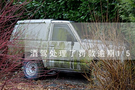 酒驾处理了罚款逾期15天没交 酒驾处理了罚款逾期15天没交