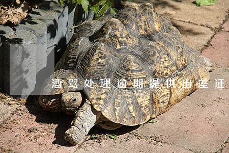 酒驾处理逾期提供出差证明 酒驾处理逾期提供出差证明