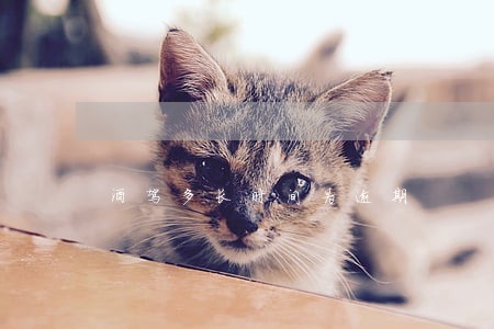 酒驾多长时间为逾期 酒驾多长时间为逾期