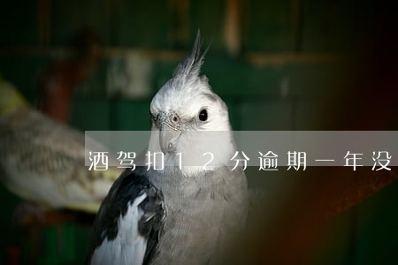 酒驾扣12分逾期一年没处理 酒驾扣12分逾期一年没处理