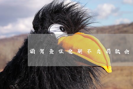 酒驾查住逾期不交罚款会怎样 酒驾查住逾期不交罚款会怎样