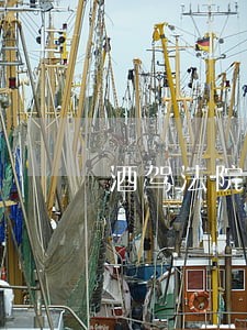 酒驾法院判完直接去看守所吗 酒驾法院判完直接去看守所吗