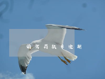 酒驾罚款单逾期 酒驾罚款单逾期