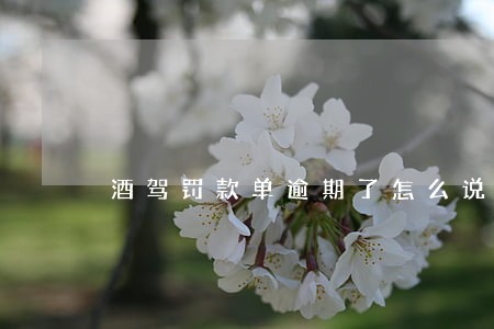 酒驾罚款单逾期了怎么说 酒驾罚款单逾期了怎么说