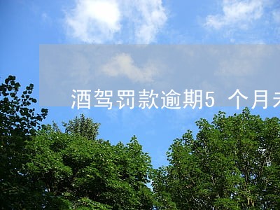 酒驾罚款逾期5个月未交 酒驾罚款逾期5个月未交