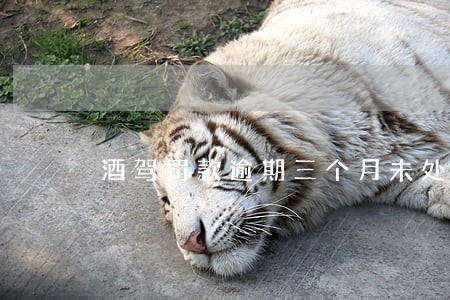 酒驾罚款逾期三个月未处理怎么办 酒驾罚款逾期三个月未处理怎么办