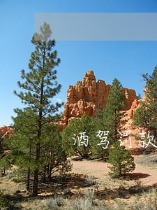 酒驾罚款逾期会怎么样 酒驾罚款逾期会怎么样