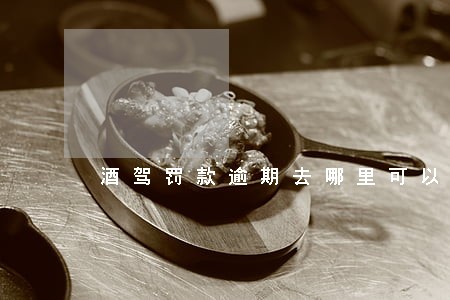 酒驾罚款逾期去哪里可以查看 酒驾罚款逾期去哪里可以查看