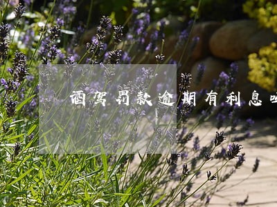酒驾罚款逾期有利息吗 酒驾罚款逾期有利息吗