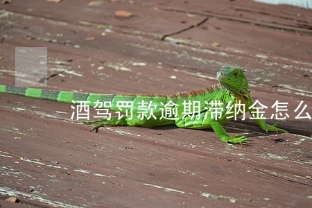 酒驾罚款逾期滞纳金怎么算 酒驾罚款逾期滞纳金怎么算