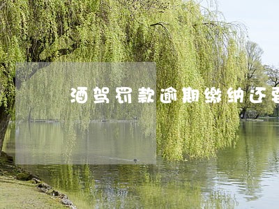 酒驾罚款逾期缴纳还要交滞纳金 酒驾罚款逾期缴纳还要交滞纳金