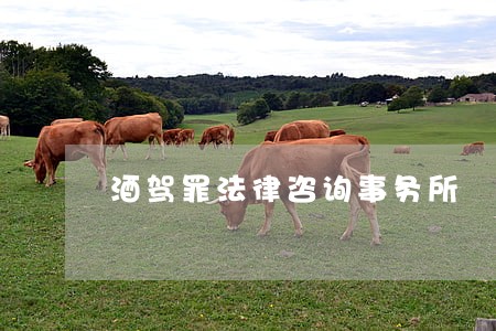 酒驾罪法律咨询事务所 酒驾罪法律咨询事务所
