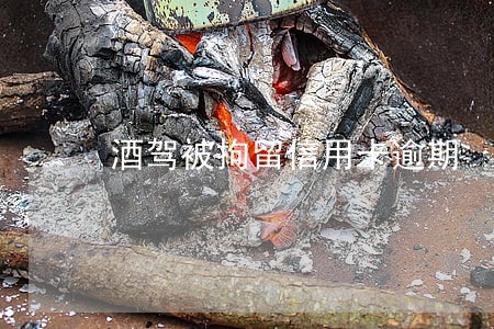 酒驾被拘留信用卡逾期 酒驾被拘留信用卡逾期