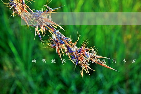 酒驾被拘留导致信用卡逾期 酒驾被拘留导致信用卡逾期