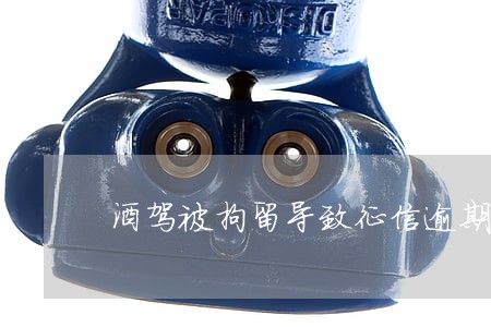酒驾被拘留导致征信逾期 酒驾被拘留导致征信逾期