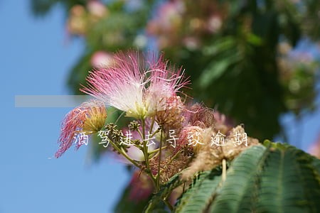 酒驾进去导致逾期 酒驾进去导致逾期