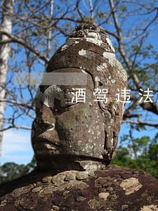 酒驾违法驾驶员 酒驾违法驾驶员