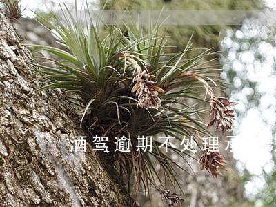酒驾逾期不处理承担法律责任 酒驾逾期不处理承担法律责任