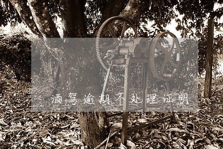 酒驾逾期不处理证明 酒驾逾期不处理证明