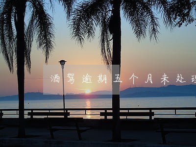 酒驾逾期五个月未处理怎么办 酒驾逾期五个月未处理怎么办