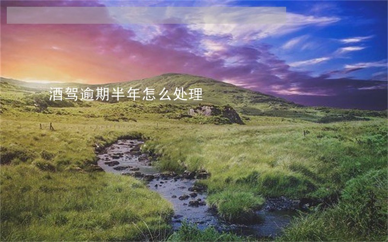 酒驾逾期半年怎么处理 酒驾逾期半年怎么处理