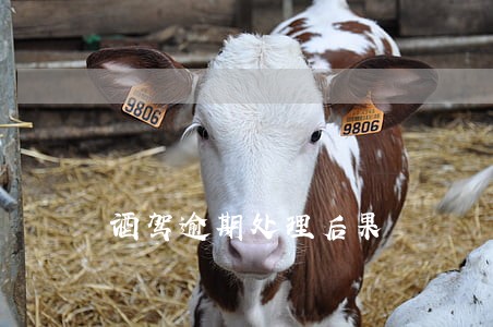 酒驾逾期处理后果 酒驾逾期处理后果