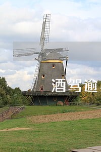 酒驾逾期处理情况说明书 酒驾逾期处理情况说明书