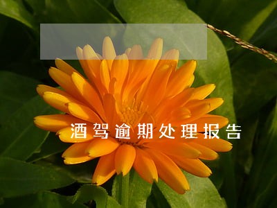 酒驾逾期处理报告 酒驾逾期处理报告