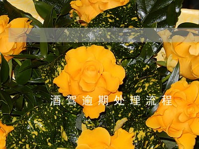 酒驾逾期处理流程 酒驾逾期处理流程