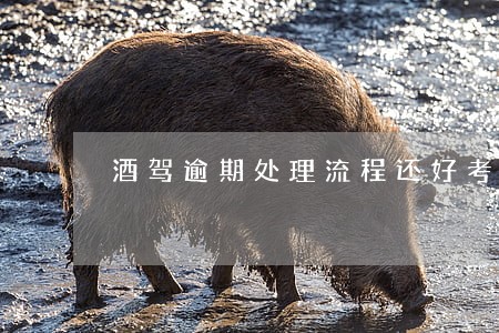 酒驾逾期处理流程还好考证 酒驾逾期处理流程还好考证