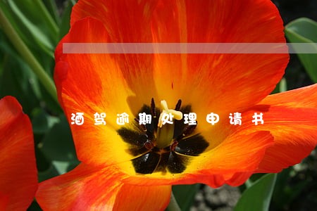 酒驾逾期处理申请书 酒驾逾期处理申请书