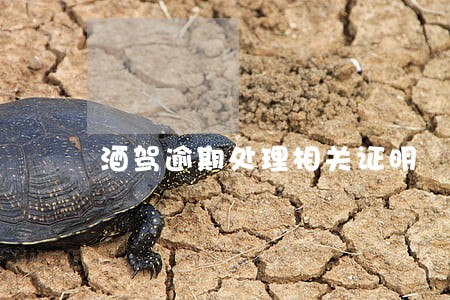 酒驾逾期处理相关证明 酒驾逾期处理相关证明