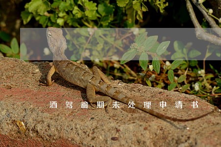 酒驾逾期未处理申请书 酒驾逾期未处理申请书