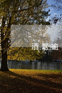 酒驾逾期未处理申请书范本 酒驾逾期未处理申请书范本
