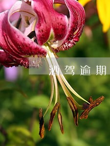 酒驾逾期未处理罚款多少 酒驾逾期未处理罚款多少