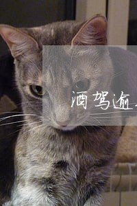酒驾逾期罚款金不交会被拘留吗 酒驾逾期罚款金不交会被拘留吗