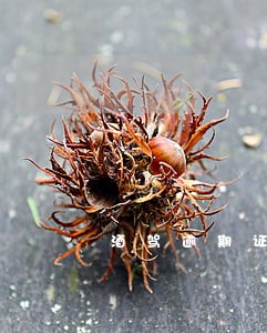 酒驾逾期证明怎么写 酒驾逾期证明怎么写