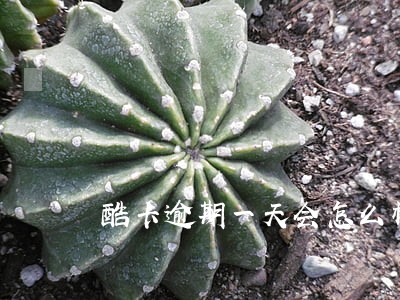 酷卡逾期一天会怎么样 酷卡逾期一天会怎么样