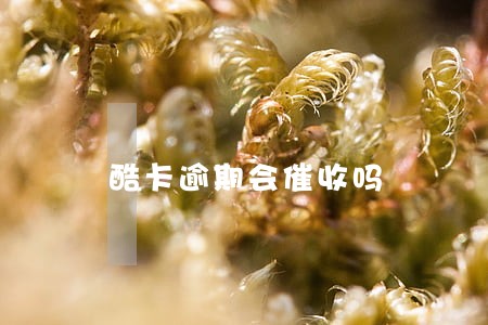 酷卡逾期会催收吗 酷卡逾期会催收吗