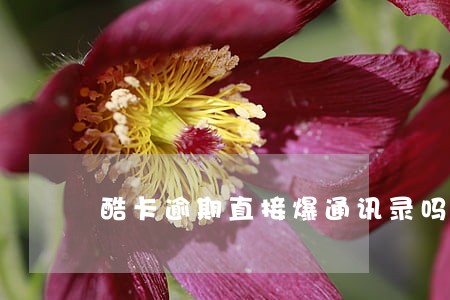酷卡逾期直接爆通讯录吗 酷卡逾期直接爆通讯录吗