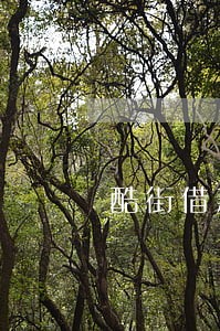 酷街借款逾期怎么办 酷街借款逾期怎么办