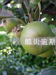 酷街逾期催收会上门 酷街逾期催收会上门