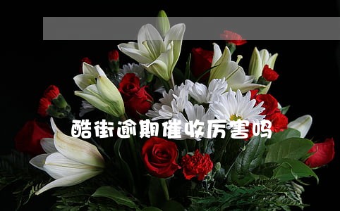 酷街逾期催收厉害吗 酷街逾期催收厉害吗