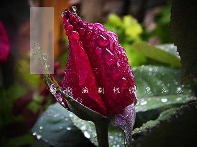 酷街逾期催收怎么办 酷街逾期催收怎么办