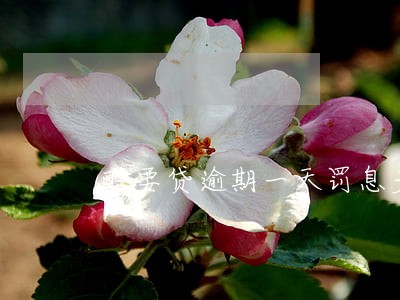 酷要贷逾期一天罚息多少
