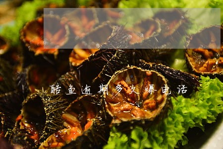 酷鱼逾期多久爆电话 酷鱼逾期多久爆电话