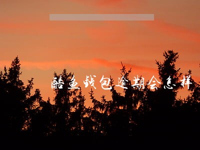 酷鱼钱包逾期会怎样