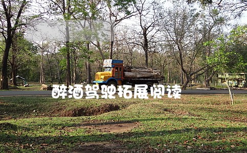 醉酒驾驶拓展阅读 醉酒驾驶拓展阅读