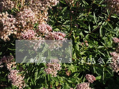 醉驾173法院会三免公诉吗